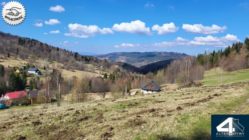 Działka budowlana z własnym lasem