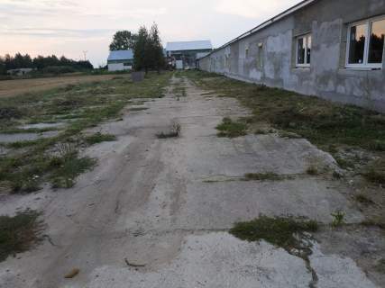 Syndyk sprzeda Zorganizowaną cześć przedsiębiorstwa