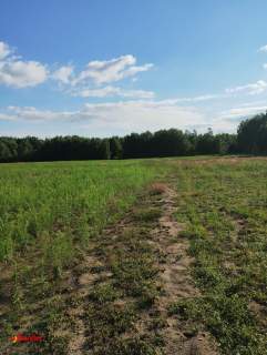 BLINNO DZIAŁKA ROLNA BEZ MPZP 1,5 HA