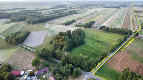 Ponad 3 hektary w jednym kawałku, RVI, 1416 zł/ ar
