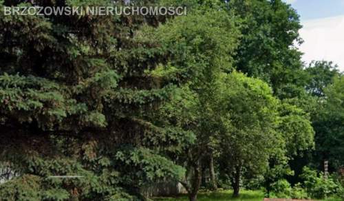 Białołęka, Nowodwory, 500 m2, MPZP, mieszkaniowa
