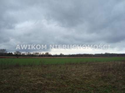 Działka budowlana na sprzedaż, 1200 m2, Kaleń
