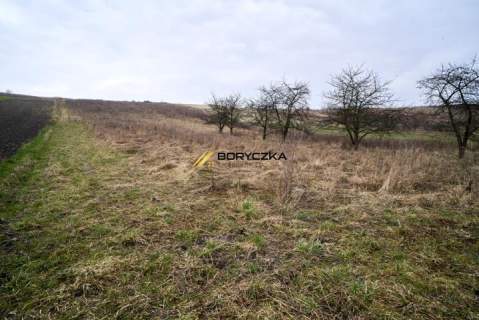Sułkowice gm. Solec-Zdrój 1,32ha w jednym kawałku