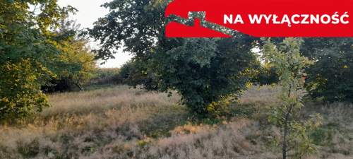 Ładna, uzbrojona działka pod lasem-33a-Wilczopole