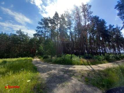 DZIAŁKA LEŚNA POD REKREACJĘ Z LASEM 789 M2 