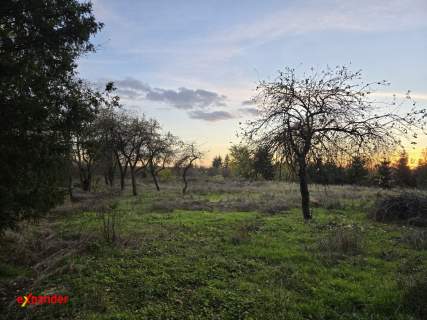Rancho blisko Częstochowy