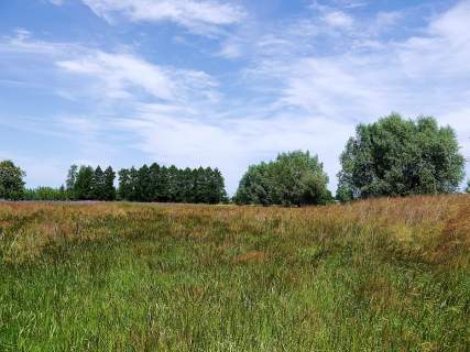 Żuławy Wiślane, wieś Bronowo
