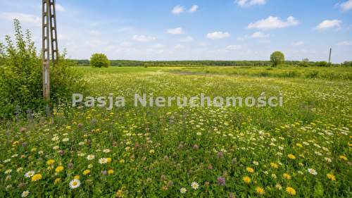 DZIAŁKA BLISKO PŁOCKA
