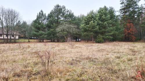 Działka 1743 m2, Pieńki