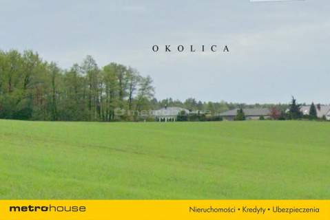 Piękna działka, blisko terenów leśnych, Złotkowo