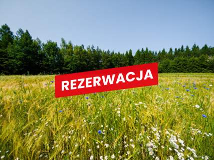 Na sprzedaż działka 79 arów- Domosławice