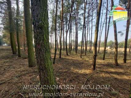 Śliczna działka budowlana w Walerianach