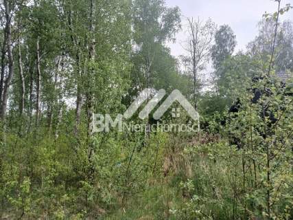 1502m2 - Mościska/Adamowizna na dwulokalówkę