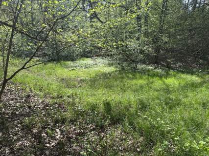 Działka Libertów, ul. Pogórze - 1,78ha w tym 11a budowlanej