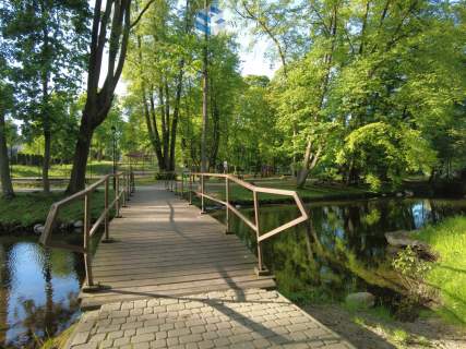 Twoje miejsce w naturze   Ostrowite
