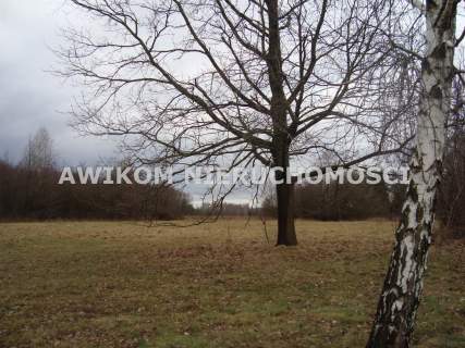 Działka budowlana na sprzedaż, 1200 m2, Kaleń