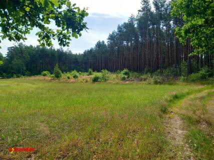 DZIAŁKA Z WARUNKAMI ZAB. 5,9108 HA ORAZ LAS