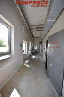 Hala 1000 m2, Piekoszów