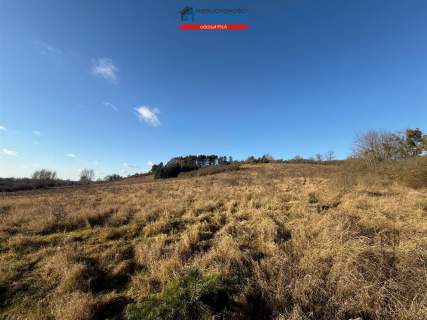 Działka rolna na sprzedaż, 7539 m2, Miasteczko Krajeńskie