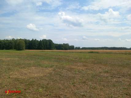 DZIAŁKI ROLNE Z MOŻL. UZYSK. WZ OD 3263 M2 I INNE