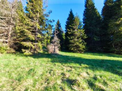 Działki rolne 5374 m Soblówka