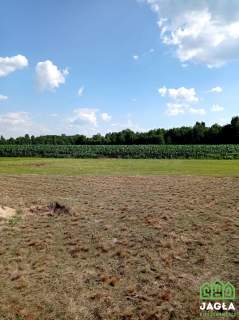 Annowo Władysławowo Rynarzewo działka 1035m2 WZ
