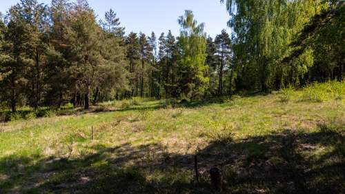 Działka budowlana w spokojnej okolicy - Dobrzewino