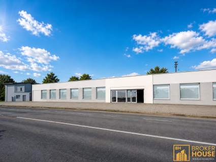 Lokal na wynajem 229m2 z witryną