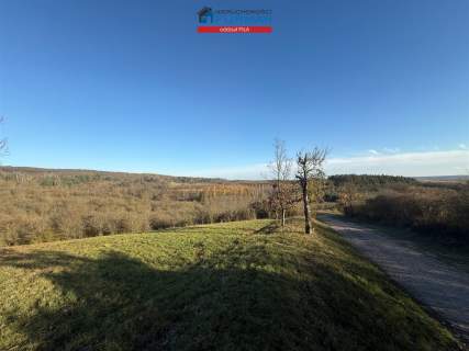Działka rolna na sprzedaż, 7539 m2, Miasteczko Krajeńskie