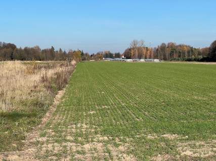 DZIAŁKA 1450 M2- WOLA GUTOWSKA