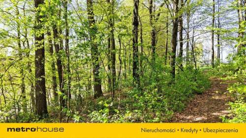 Niepowtarzalna okazja 2 stawy rybne i las 3,15ha