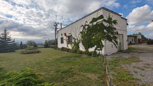 Wygodna hala Radom , Cerekiew