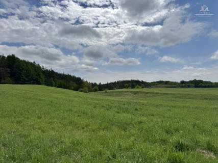 Działka 3500 m z WZ  Michalin, gm. Przywidz