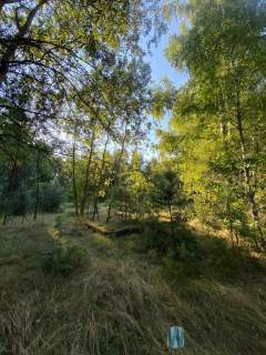1800 m2 - Twój nowy dom pod lasem