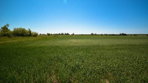 Działka budowlana na sprzedaż, 1652 m2, Dąbrowa Chełmińska