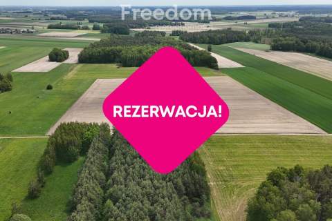 Urokliwe siedlisko w pobliżu rzeki Liwiec