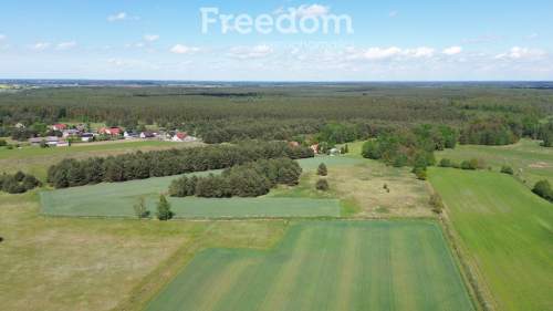 Duża działka 1,25 ha-Borucice