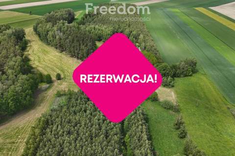 Urokliwe siedlisko w pobliżu rzeki Liwiec