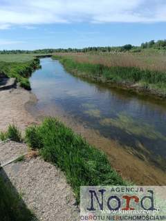 Nieruchomość nad rzeką Nettą