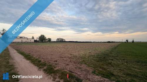 Działki budowlane na sprzedaż Kotunia, gm. Słupca