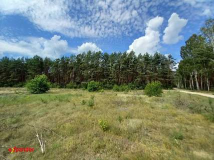 DZIAŁKA 4280 M2 W LESIE Z MOŻLIWOŚCIĄ W.Z OBOK LAS