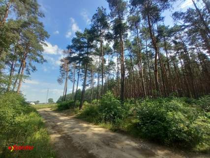 DZIAŁKA LEŚNA POD REKREACJĘ Z LASEM 789 M2 