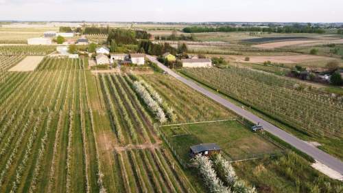 Cisza, natura, sady działka gm. Biała Rawska
