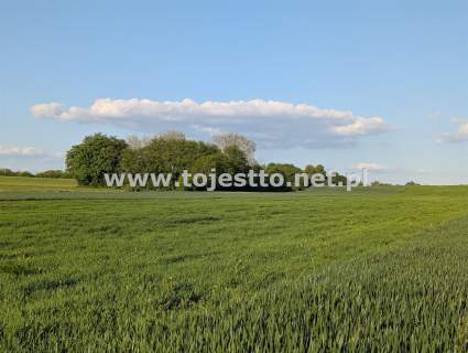 GRÓDEK, działka zabudowana 1700m2, dom budynki