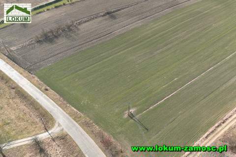Działka rolno-budowlana o pow. 0,32 ha Ujazdowie gm. Nielisz