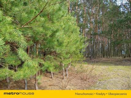 Działka orna w Uchaniu Dolnym k/Łowicza 24 000 m2