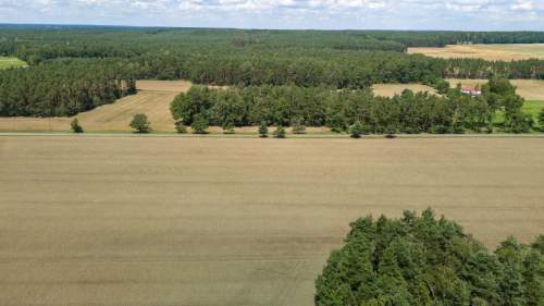 Działka budowlana Zborowskie 1407 m2