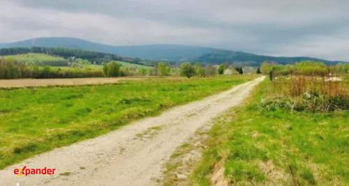 DZIAŁKA 1500 M2 W SERCU NATURY ŚWIERADÓW ZDRÓJ