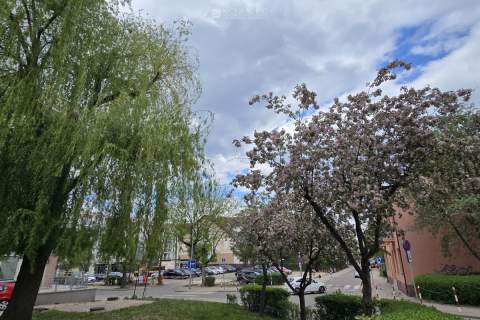 Starobojarska 72 m2, 4 pokoje, 1 piętro, parking