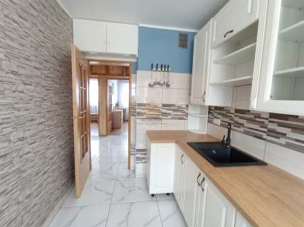 3 pokoje Balkon Piwnica Blisko działka ROD